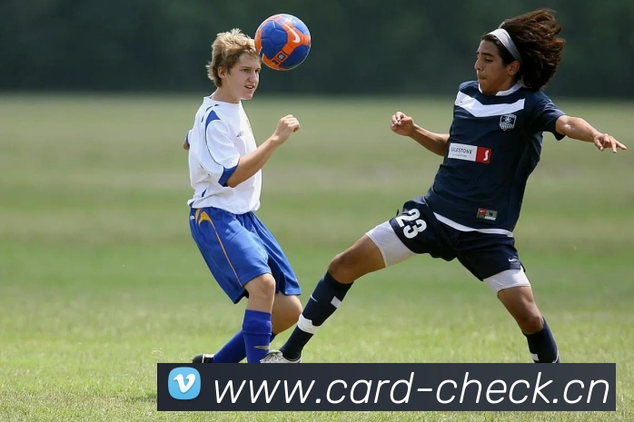 多媒体互动体验